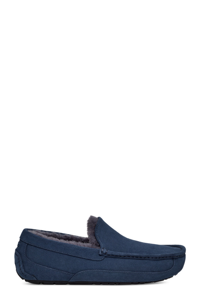UGG ASCOT – Suburban Shoes